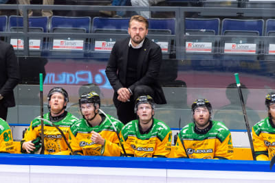 Antti Pennanen på Ilves bänk.