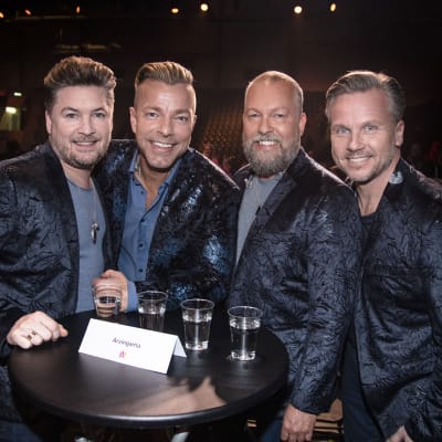 Det svenska dansbandet Arvingarna. 