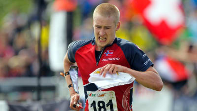 Olav Lundanes, VM 2014.