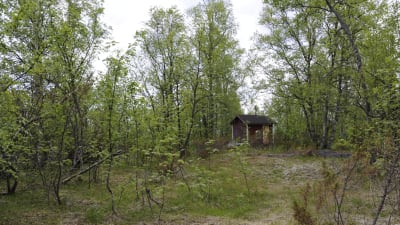 Liten sommarstuga i grönskan på Hanhikivi