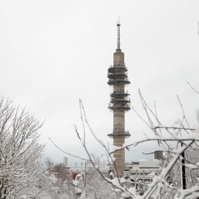 Korkea betoninen Yleisradion Pasilan linkkitorni lumisessa maisemasssa. Puiden oksilla on paljon lunta. Tornin juurella pilkistää puiden takaa valkoisia Yleisradion rakennuksia. Tornia ympäröi eri korkeuksilla seitsemän tasannetta, joissa on antenneja. Tornin huipulla on ohuempi masto. 