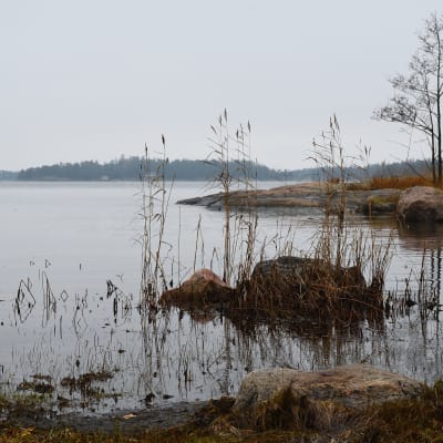 Några bara klippor och öppet vatten i januari.