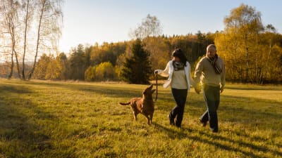 Ett medelålders par på promenad ute på ett grönt fält med en hund.