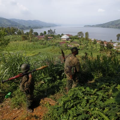 Regeringssoldater jagar nu medlemmar av rebellgruppen ADF som misstänks ha massakrerat 42 bybor nära staden Beni i provinsen norra Kivu