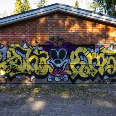 Graffiti seinässä