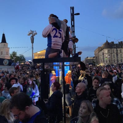 Guldfirare på taket till en busshållplats.