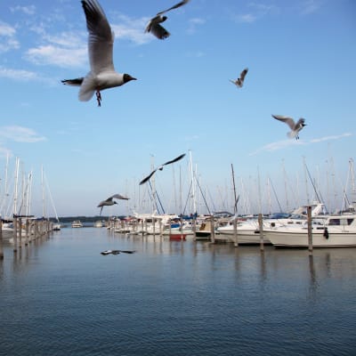 Östra hamnen i Mariehamn.