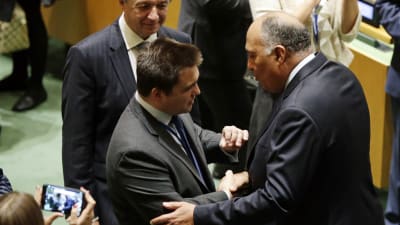 Ukrainas och Egyptens utrikesministrar skakar hand efter att deras länder blivit valda till FN:s säkerhetsråd.