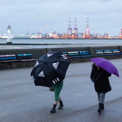 Två personer med paraply går i ett regnigt landskap.