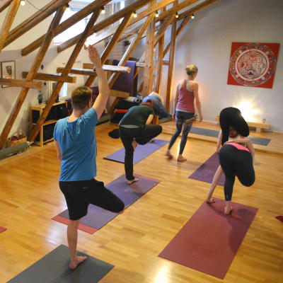 Joga på jogavinden i Borgå