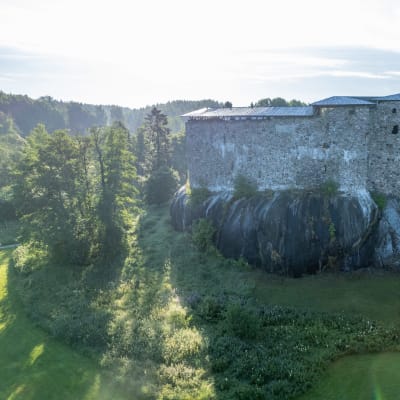 Slottsruiner från fågelvy.