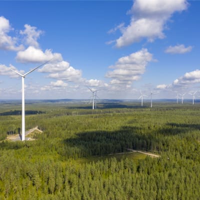 Ett tiotal vindkraftverk som syns högt över skogen i soligt väder