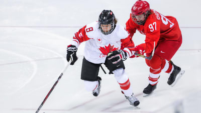 Kanada är världsbäst i ishockey. 