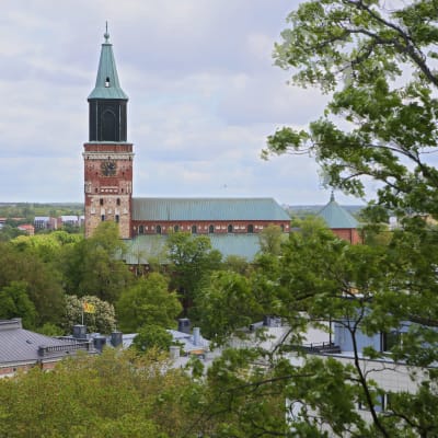 Åbo Domkyrka sedd från Vårdberget med träd i förgrunden.