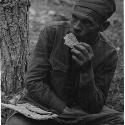 Sotavanki syö näkkileipää metsässä istuen.
