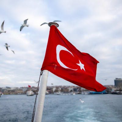 Turkin lippu ja Bosborinsalmi.