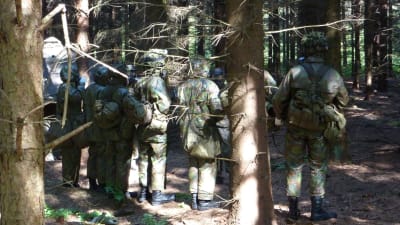 Beväringar i skog