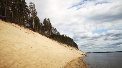 Saari, jossa korkea harjumainen muodostelma hienoa vaaleaa hiekkaa, ylhäällä mäntymetsää.
