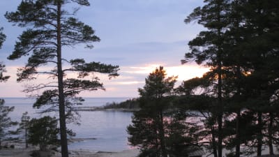 Utsikt från Pörkenäs lägergård i Jakobstad