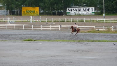 Ryttare tränar sin häst på travbanan i Vasa.