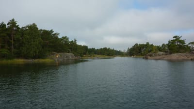 Gloskär hör till Skärgårdsmiljöstiftelsens naturskyddsområde sydost om Älgö.