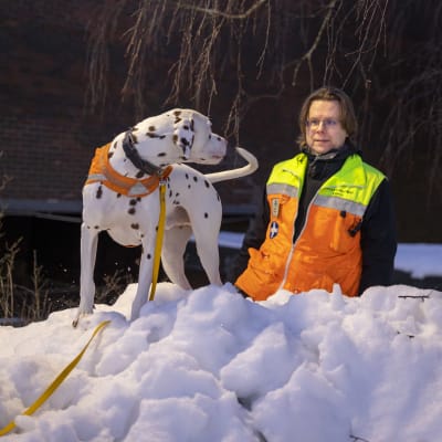 Koira ja  kouluttaja huomioliiveissä.