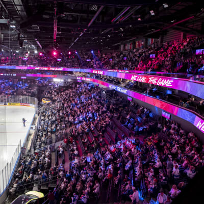 Yleisöä ennen Suomen ja Itävallan ottelua MM-kisoissa 2023.