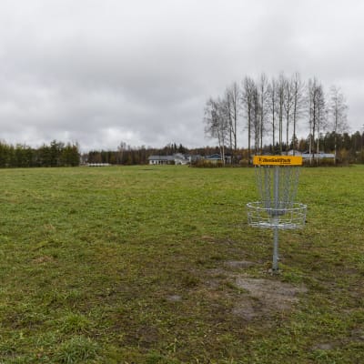 Frisbeegolfkori Loimalahden frisbeegolfradalla.