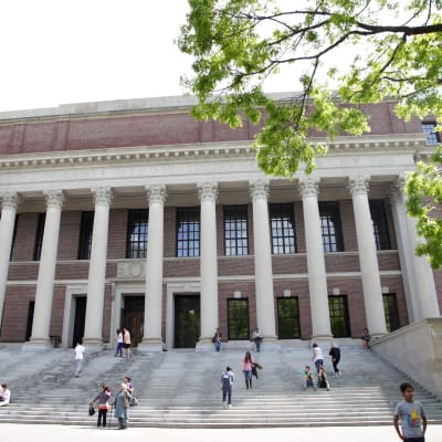 harvard campus