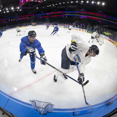 Harri Pesonen ja Hannes Björninen vääntävät kiekosta kulmauksessa Leijonien välipäivän treeneissä 16.5.2023.