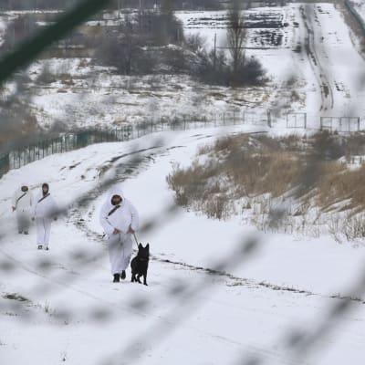 Rajavartioita lumisessa maastossa kävelevät raja-aidan vieressä.