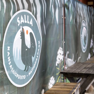 Sallan Poropuiston työmaita suojaava aita, jossa on Sallan kansallispuiston logo.