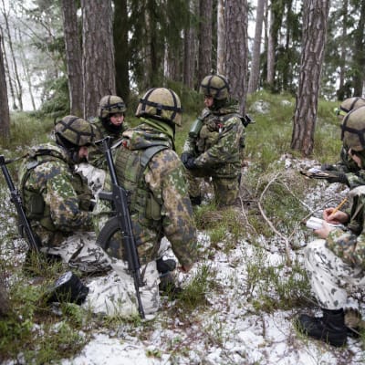 sotilaat metsässä,  viestikomppania , rannikkoprikaati,  upinniemi.  talvikuvaa, 