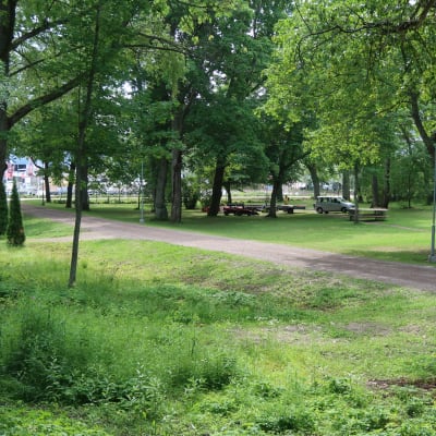 En grön park med en sandväg i mitten.