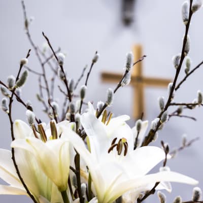 Pajunkissoja ja kukkia maljakossa, taustalla risti, Huopalahden kirkon alttarilla. 5.4.2023