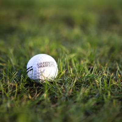 Golfpallo Salon golfkentällä tammikuussa 2020.