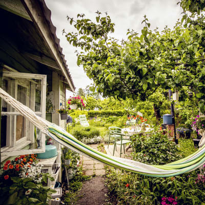 En koloniträdgård med en hängmatta, en liten stuga, och mycket blommor.