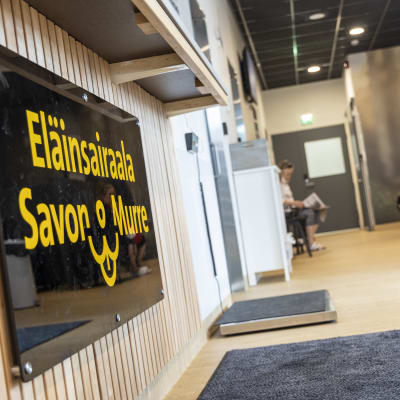 Eläinsairaala Savon Murre aulassa odottaa asiakkaita.
