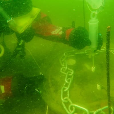 Bild av dykare som tar vattenprov under havsytan. 