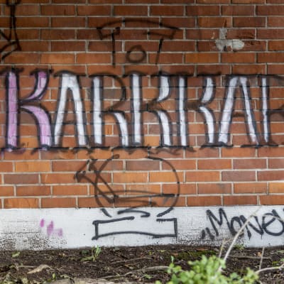 Karkkari-graffiti Kotkan Karhuvuoressa.