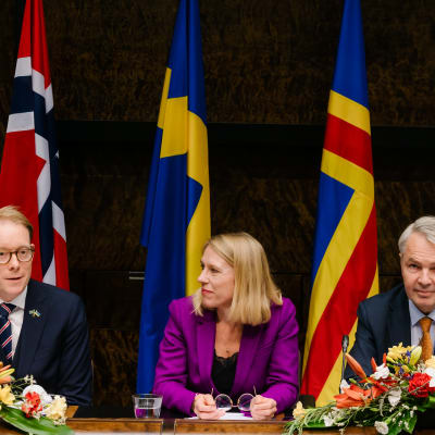 Tobias Billström, Anniken Huitfeldt ja Pekka Haavisto.