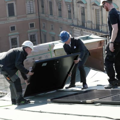 Kung Carl XVI Gustaf hjälper att installera en solpanel på Stockholms slotts tak.