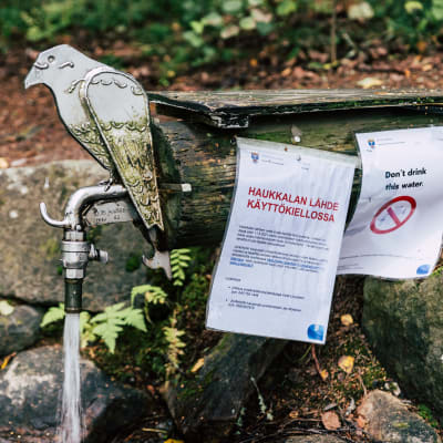Haukkalan lähde jossa käyttättökielto kyltti.