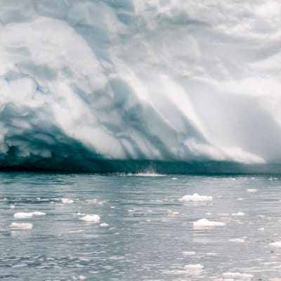 Jäävuoren sulamisvesi valuu mereen Ilulissatissa