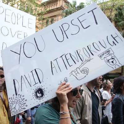 En klimataktivist håller upp ett plakat med texten "You upset David Attenborough".