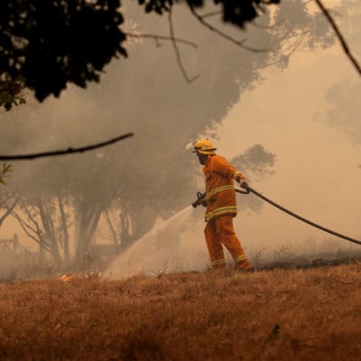 Brandman släcker markband i Australien.