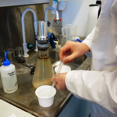 Laboratorieskötare i laboratorium