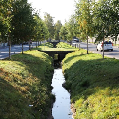 Pedersesplanaden