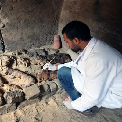 Bild på en arkeolog som penslar på ett gravfynd.