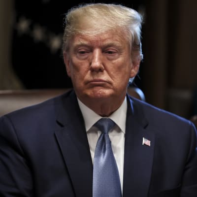 President Trump under ett möte i Vita huset på tisdagen. 